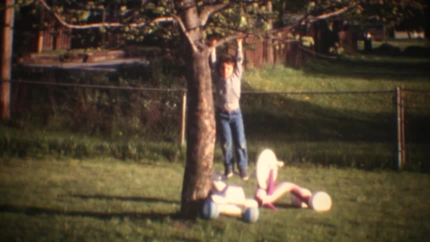 Boy hangs from a tree in the backyard after climbing it