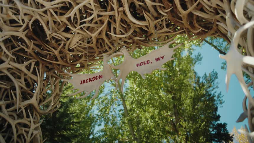 An upwardangle shot captures an elk antler arch framed against a clear blue sky and lush green trees while a small sign hangs from the center of the intricate tangled bone structure
