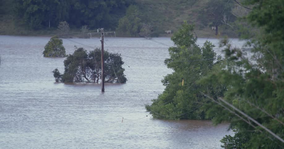 Flooded urban area surrounded by trees outdoors during day time