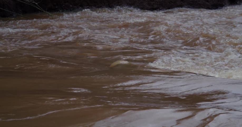 Water rushing along