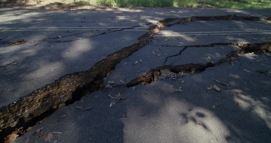 Deep cracks run across the asphalt of a roadway under natural light with surrounding vegetation