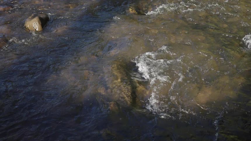 A shallow stream flows steadily over a rocky bed with sunlight reflecting off the surface of the moving water small ripples and white water foam form as the current passes over submerged stones in the center of the frame