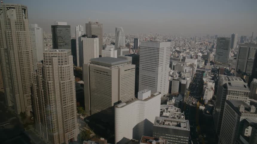 Panoramic view of skyscrapers in a metropolis during the day