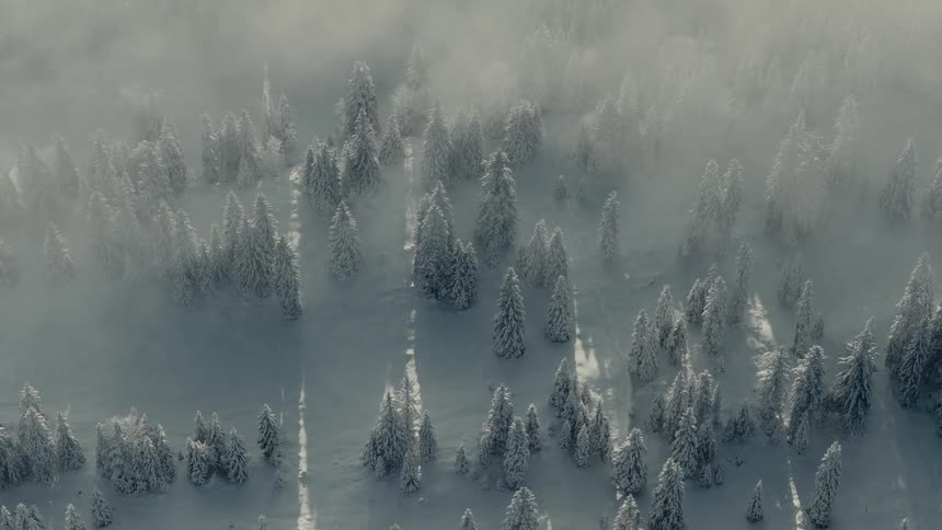 An aerial view slowly drifts through the fog over a vast snowcovered forest where sunlight casts long dramatic shadows across the serene winter landscape