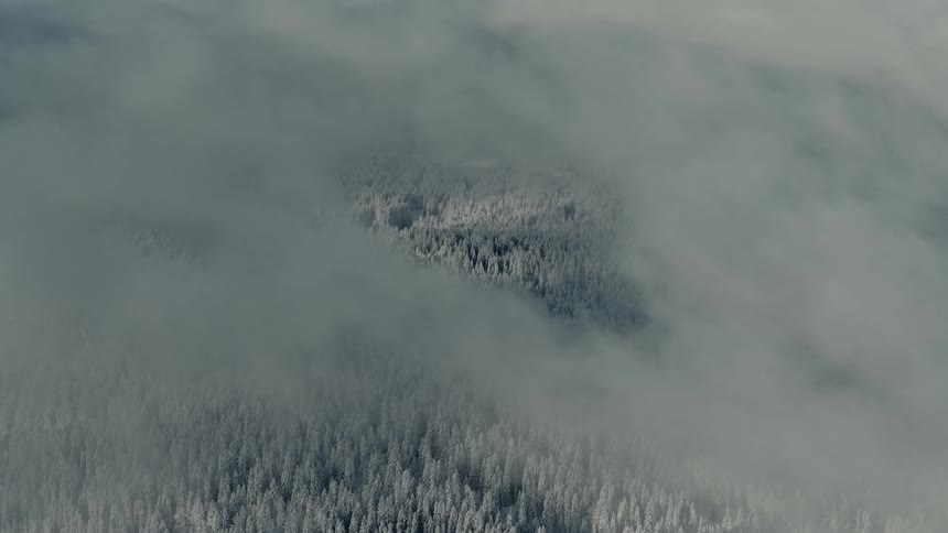Dense clouds of mist and fog drift across a vast aerial view of a mountain forest where every coniferous tree is heavily blanketed in white winter snow