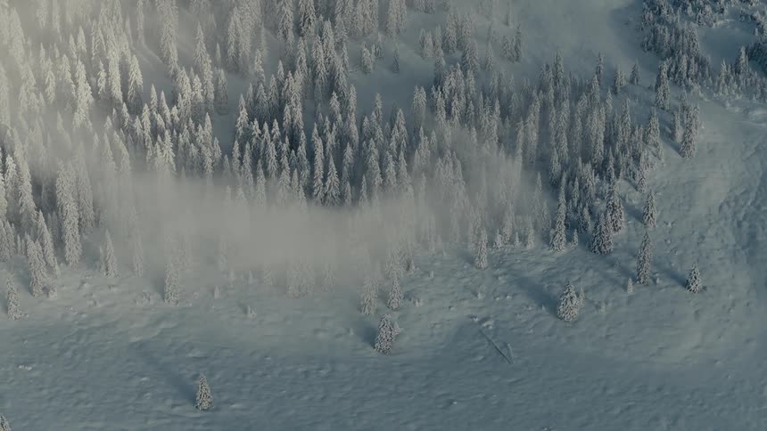 A stunning high aerial view captures a vast snowcovered mountain its dense pine forest partially obscured by a thick rolling fog illuminated by soft sunlight