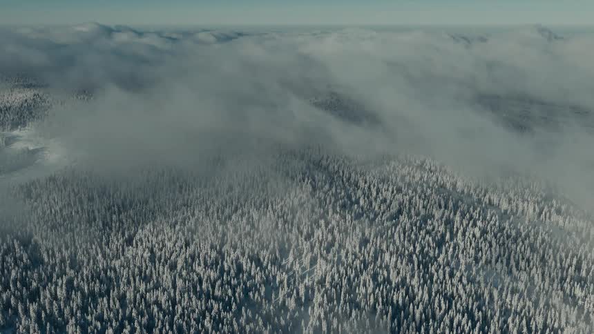 Aerial view of a snowcovered forest nestled among mountains