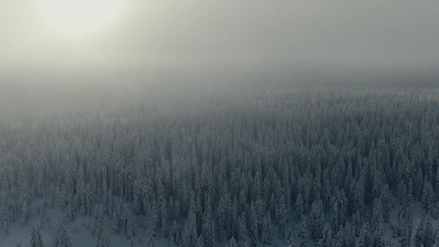 Aerial view moving over a snow covered forest of trees under a cloudy sky