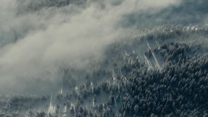 Clouds move over a forested mountain with snow covered trees