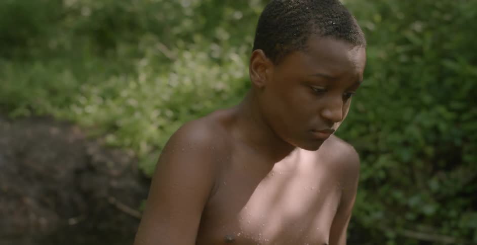 A boy is walking in the woods