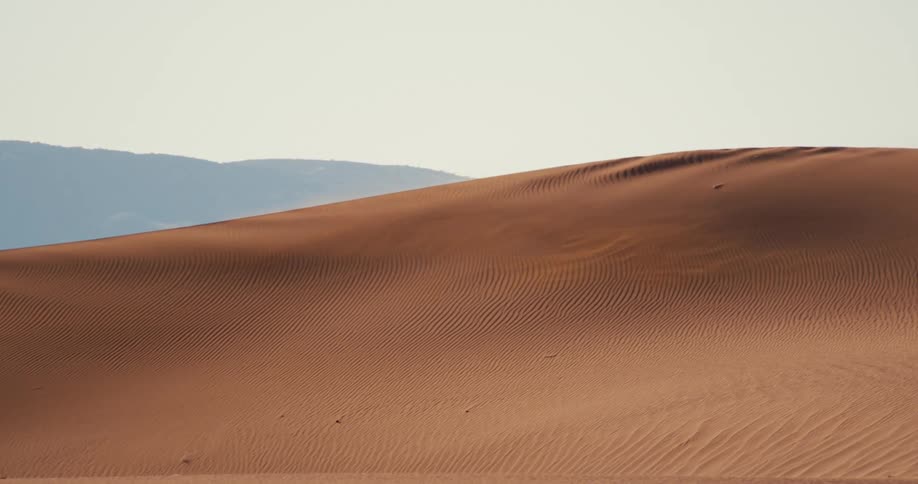 Wind blows the sand on the dunes