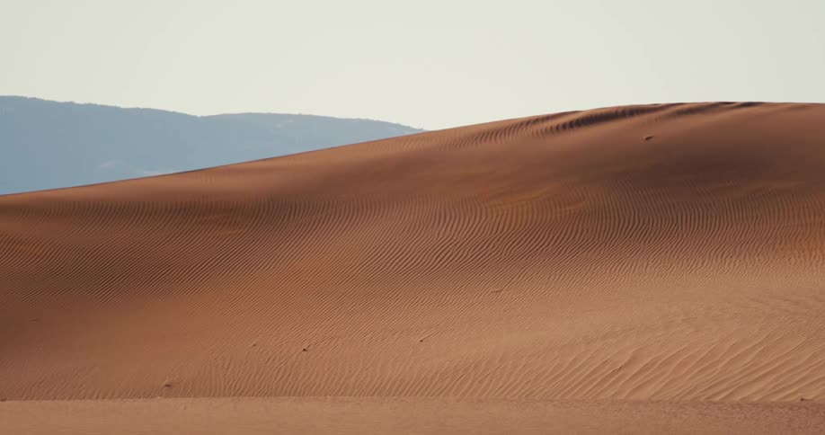 Wind blows sand across the desert dune
