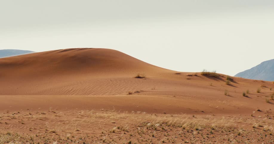 A desert landscape with sparse vegetation outdoors during daytime