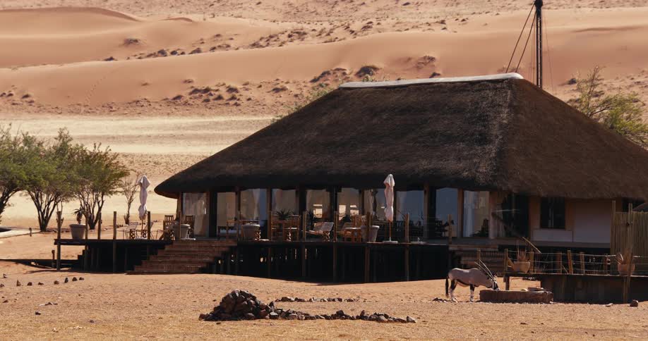 A building is located in a desert area while an oryx drinks water from a trough