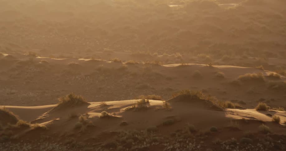 Golden sunlight washes over rolling sand dunes and sparse desert vegetation at dusk capturing the textures of the arid terrain and the atmospheric haze of a vast uninhabited wilderness