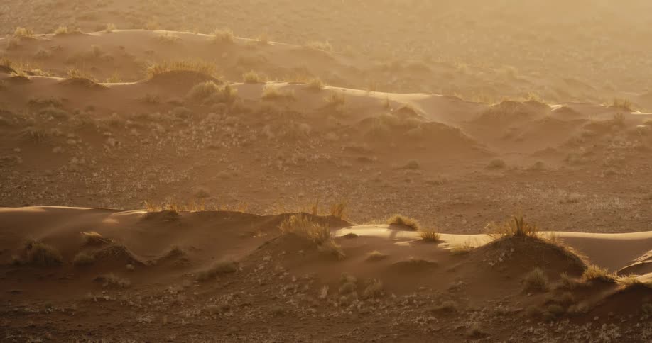 A view of a desert landscape