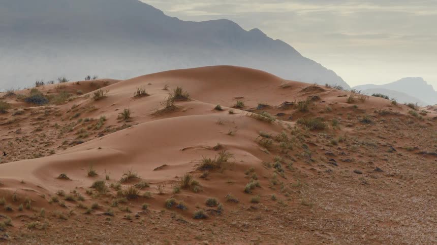 An aerial view of a dune in a desert