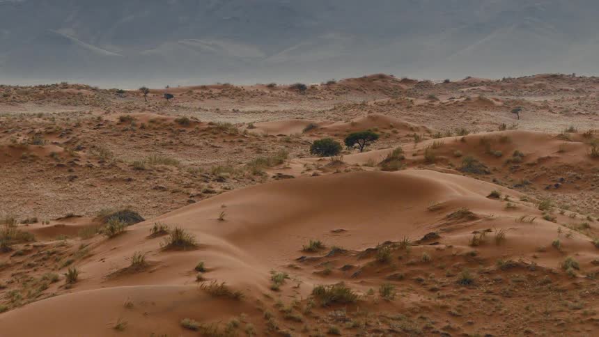 A wide aerial shot captures an expansive desert landscape featuring undulating orange sand dunes covered in patches of dry grass and scattered trees while hazy mountains loom under a gray sky in the far distance