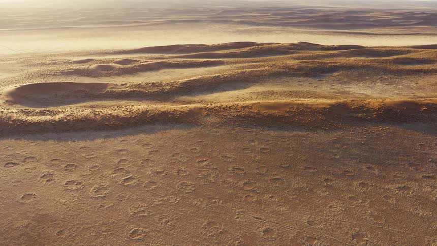 Undulating dunes with scattered circular patterns on desert terrain under lowangle light