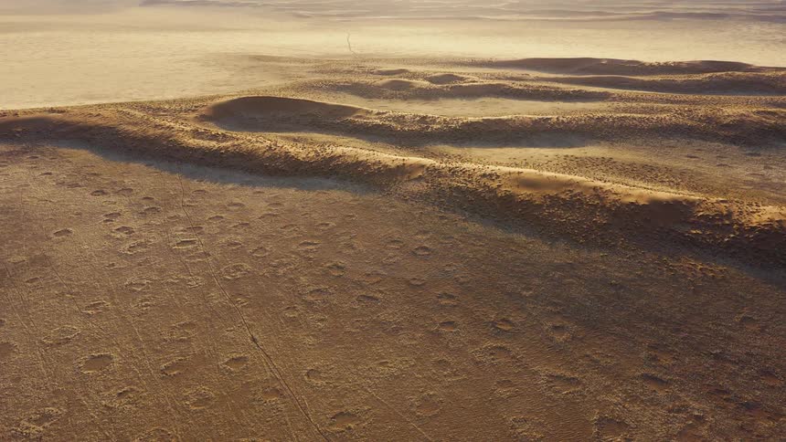 Natural circles dot dunes in desert landscape lit by lowangle light