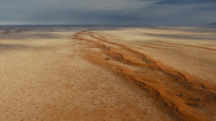 Trees dot the area between dunes in a desert on an overcast day