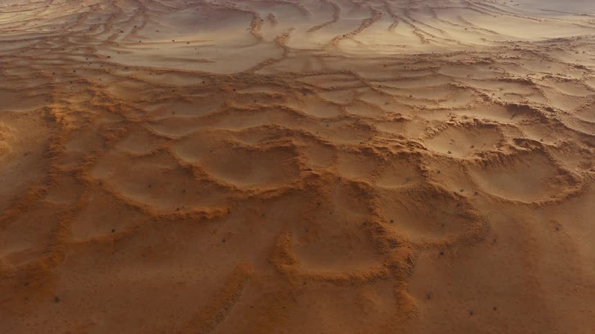 A desert filled with brown sand at midday the sunlight revealing intricate windcarved patterns across the warm sweeping dunes