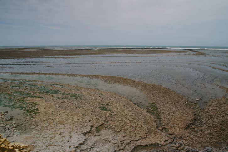 A wide static shot captures a rocky coastline at low tide under an overcast sky revealing intricate curved patterns of sediment and shallow tidal pools that stretch toward the distant ocean horizon