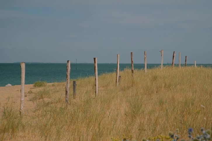 Wooden fence posts aligned over dry vegetation in a coastal area with the sea in the background