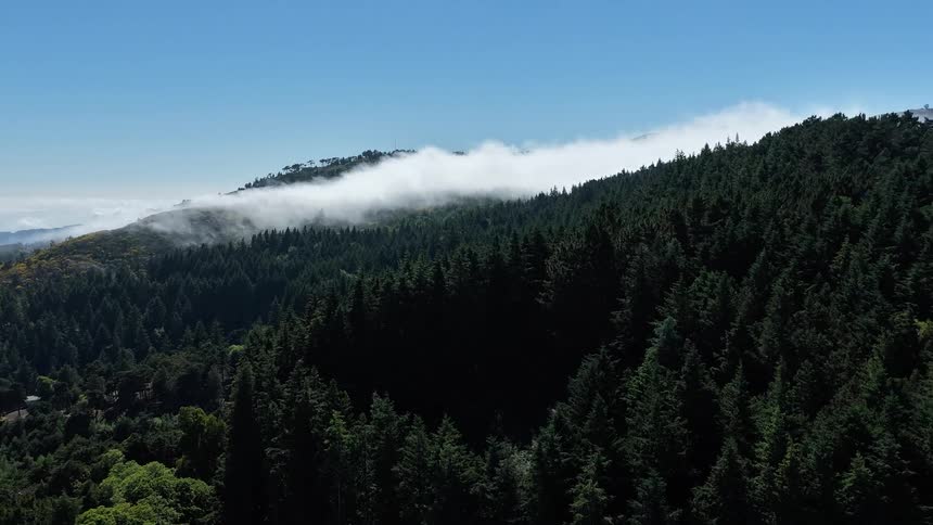 An aerial shot captures thick white clouds rolling over a mountain ridge covered in a dense pine forest under a clear blue sky with deep shadows stretching across the dark green canopy in the foreground
