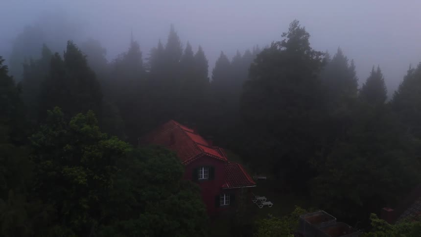 An aerial view of a forest full of trees and fog