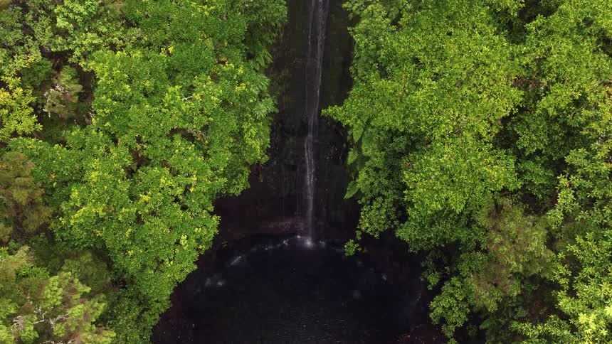 Vertical waterfall flowing into a dark pool surrounded by dense vegetation seen from above