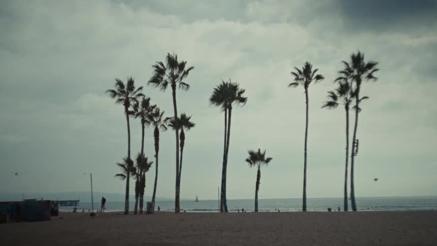 The camera is over looking the ocean and the palm trees