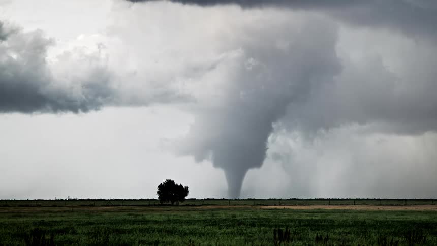 A large tornado funnel descends from a dark supercell storm and touches the ground in a flat rural field behind a lone tree and a wire fence under a heavy overcast sky