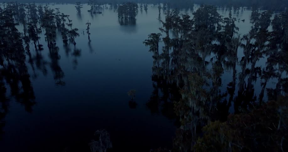 Scene of a lake with the reflection of trees