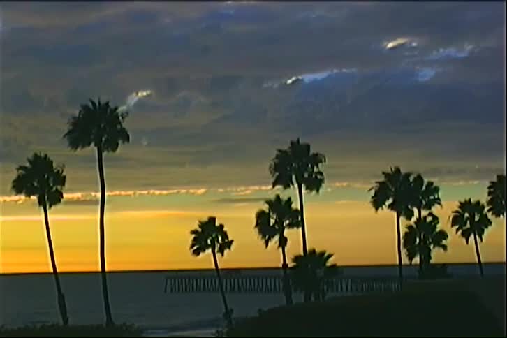 Beach at sunset with tropical palm trees
