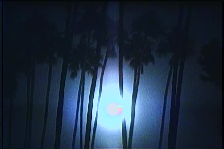 Silhouettes of palm trees aligned against a bright backlight in a nighttime setting
