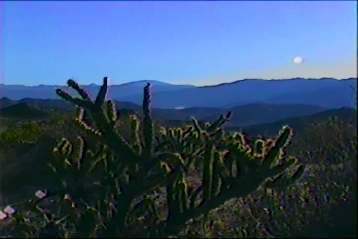 A cholla cactus stands in the foreground of a desert landscape during a clear dawn or dusk layered blue mountain ranges stretch across the horizon under a pale sky with a visible moon or sun