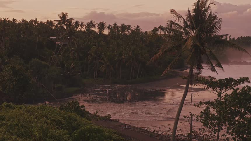 Leaning coconut over wet sand at dusk