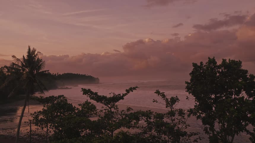 From a high vantage point behind treetops a tranquil tropical beach is viewed under a pastel sunset as gentle waves wash ashore in the distance