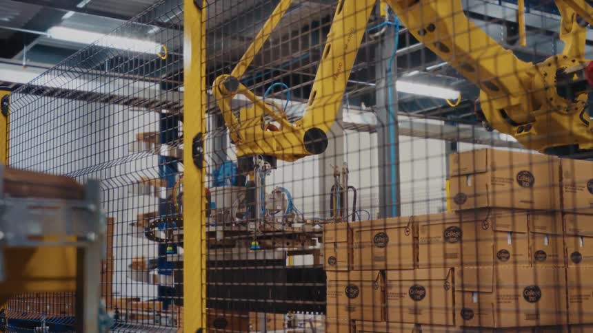 Two robotic arms work side by side in a factory efficiently sorting goods along the production line with synchronized precise movements
