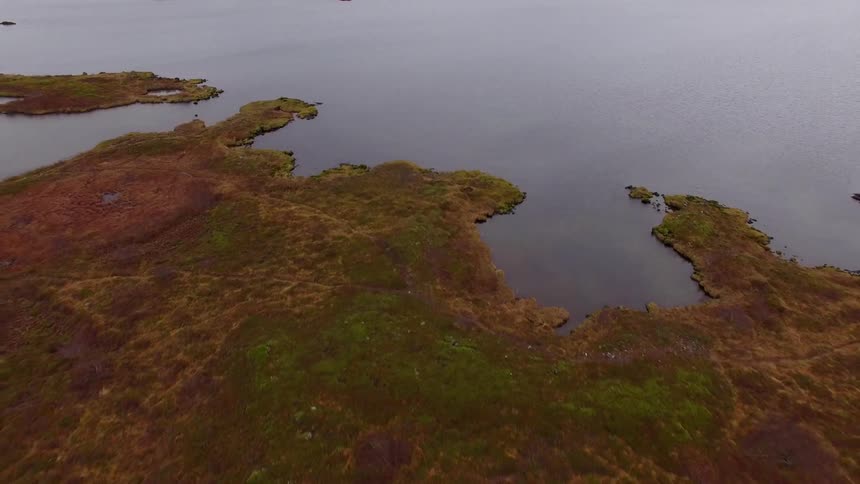 The water is calm around this shore