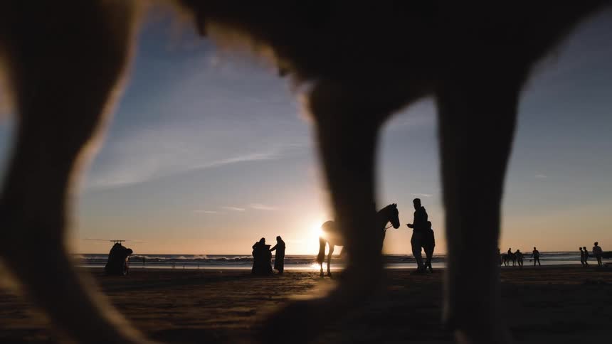 Beach landscape at dusk with a dog horses and bathers