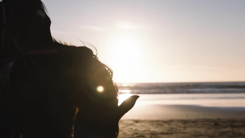 One of two horses standing on the beach lowers its head while a bird flies past