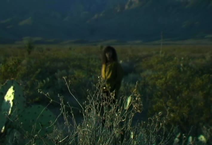 Person stands in a field containing cacti and brush while fog covers the mountains in the background