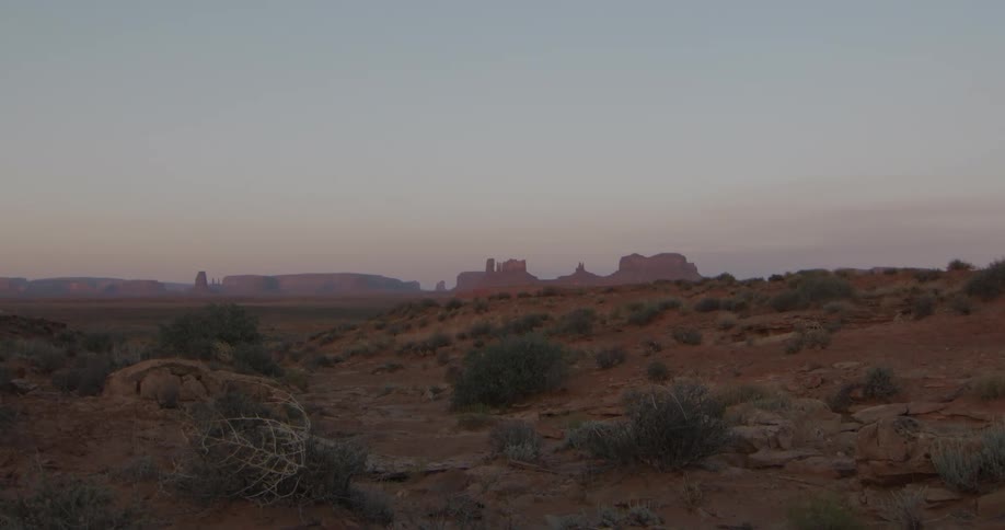 Plants across the desert with rock formations on the distant landscape