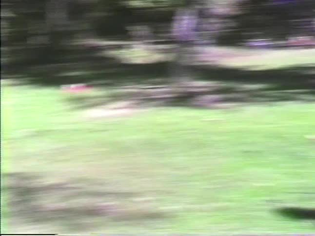 Two boys play football in the backyard as their father watches