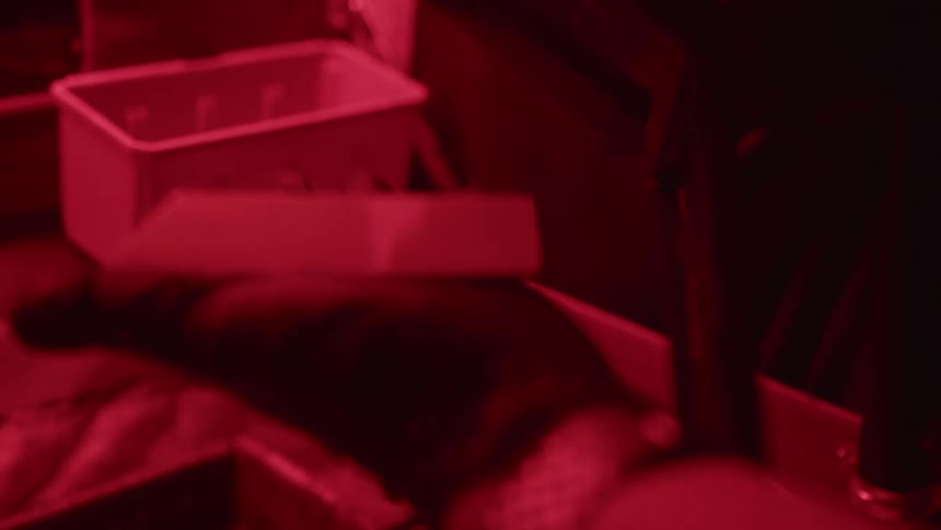 A person wearing black gloves holds a small glass plate under deep red lighting in a darkroom environment