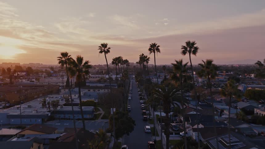 A city view at sunset with palm trees lining the street and cars parked along the roadside