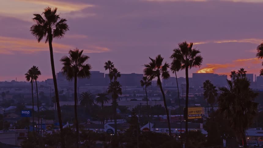 Aerial view of tall palm trees overlooking a town with buses parked on the street and buildings on the distant skyline under a cloudy sky as the sun glows on the horizon