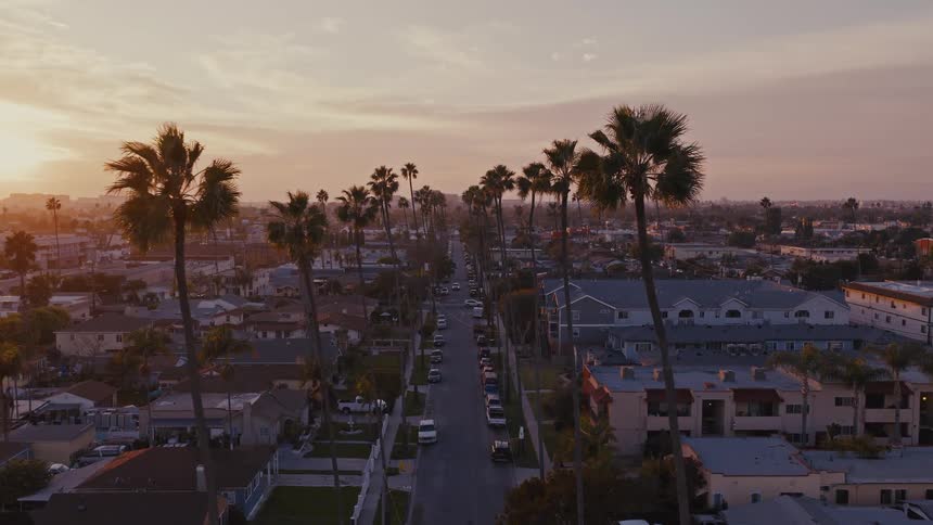Tall palm trees line the streets in a residential neighborhood at dawn